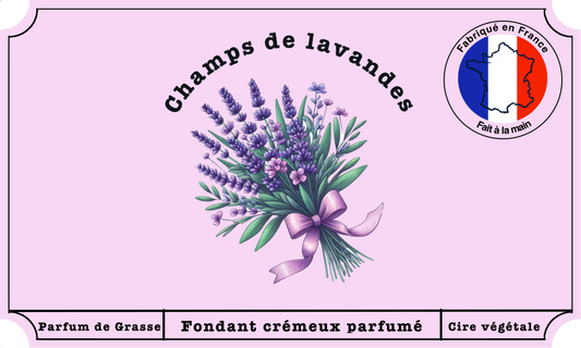 Champs de lavandes